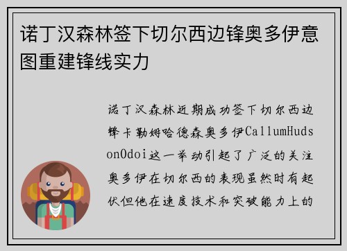 诺丁汉森林签下切尔西边锋奥多伊意图重建锋线实力